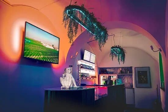 Red Eye Monkey - Cannabis store