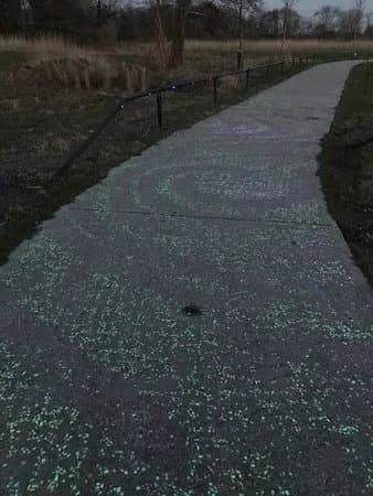 Van Gogh Roosegaarde fietspad