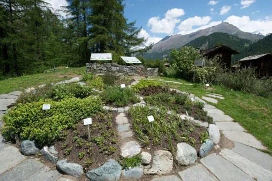 Ricola herb garden