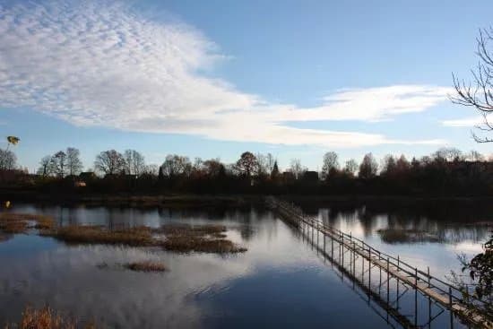 Lamprey Weirs