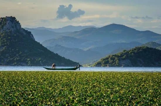 Montenegro Wonders