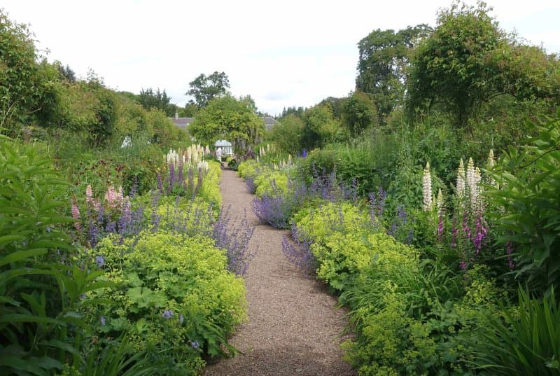 Carolside gardens