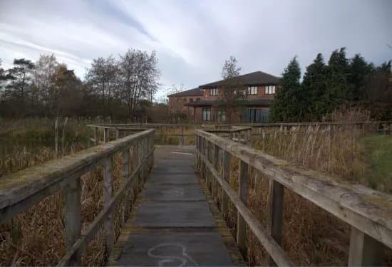 Dunston (Ace) Acer Pond