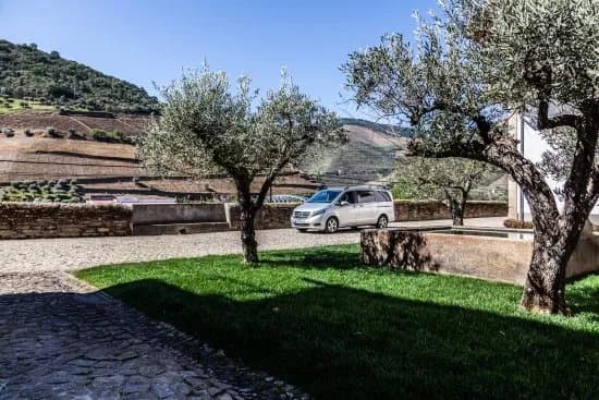 LAB Tours - Douro Valley Wine Experiences