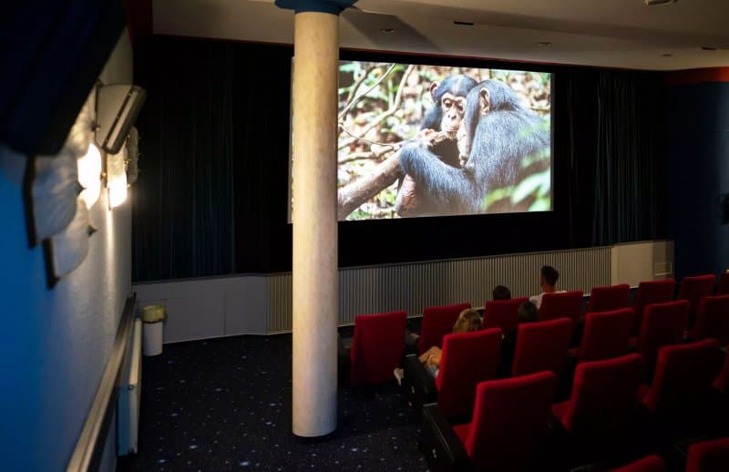 Kino Lichtspiele Wemding