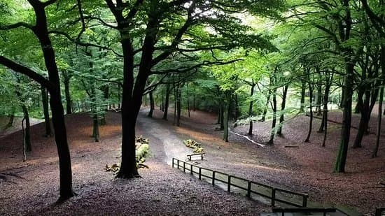 Tandle Hill Country Park