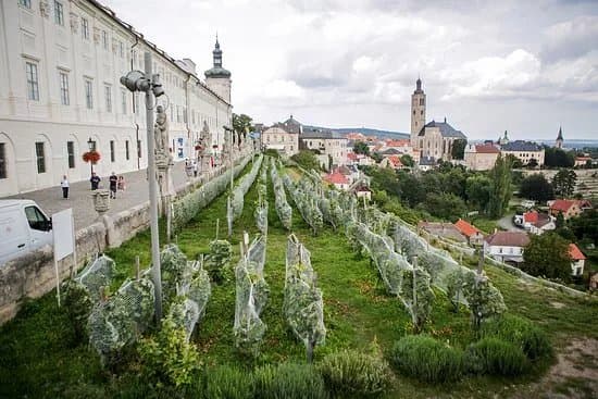 Vinne Sklepy Kutna Hora