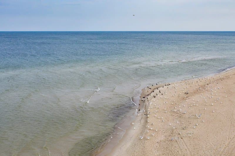 The Path Of Birds.