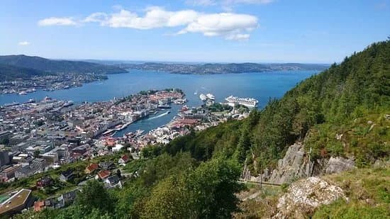 Vidden tursti