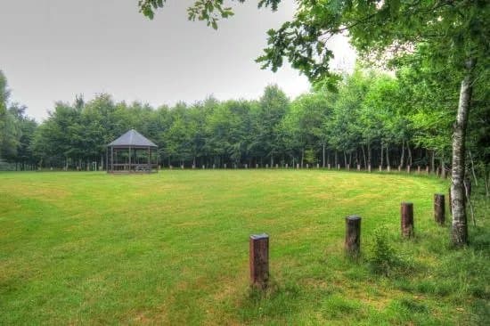 Le Bois de la Paix
