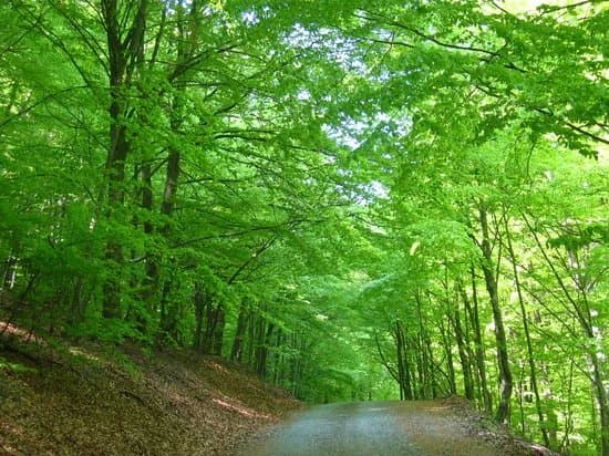Park Prirode Papuk