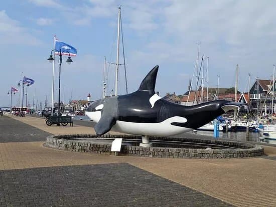 De Orca