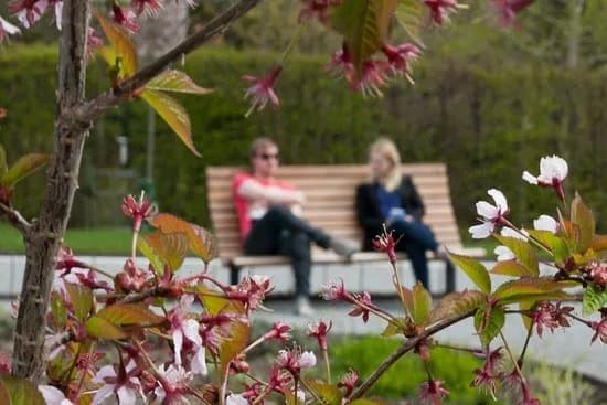SLU Kunskapsparken