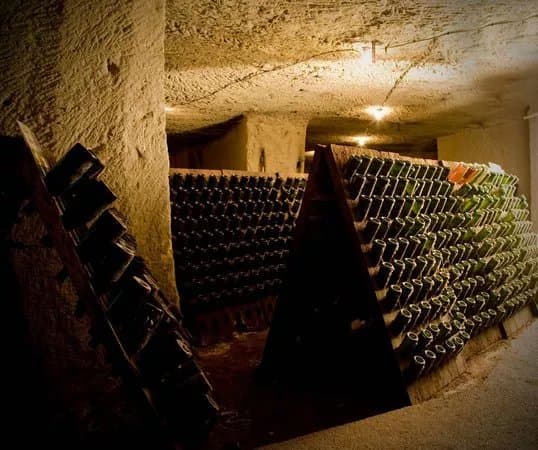 Cave Robert et Marcel - Les Vignobles Edonis