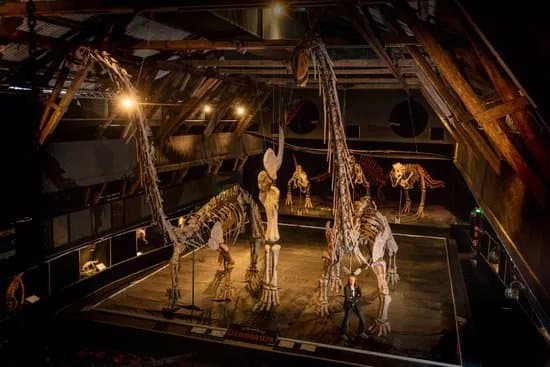 A World of Dinosaurs