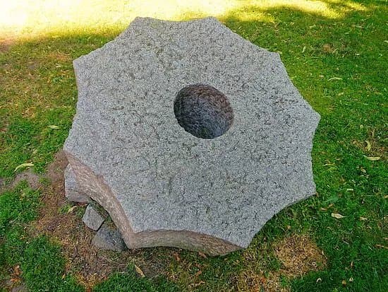 Kirurgisen Sairaalan Veistospuisto