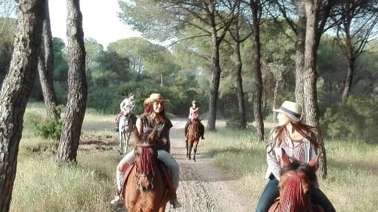 Rutas Donana
