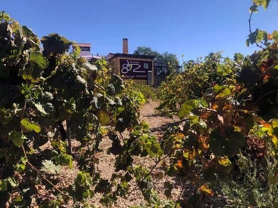 Bodegas Reveron