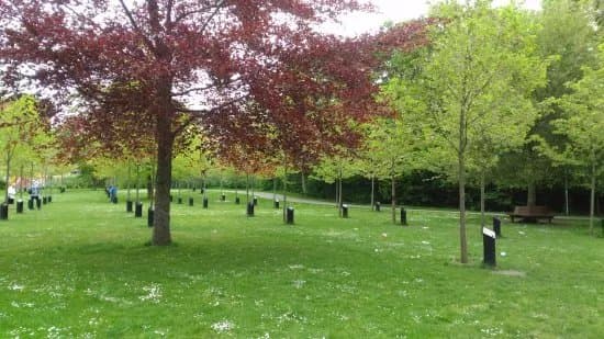 The Park of Music