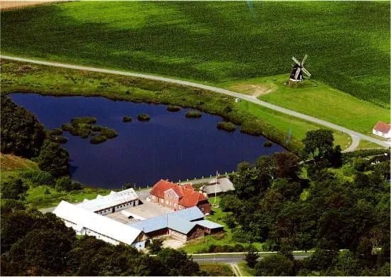 Dorf Mollegard