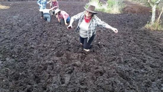 Causey Farm