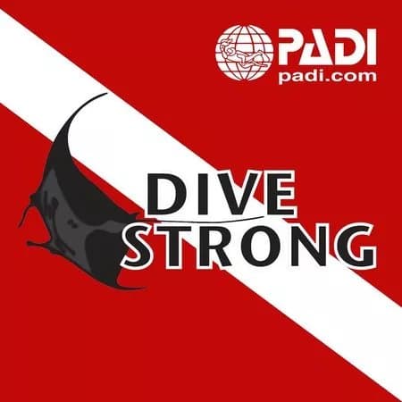 Divestrong