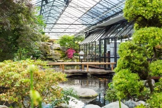 Watertuin Naaldwijk