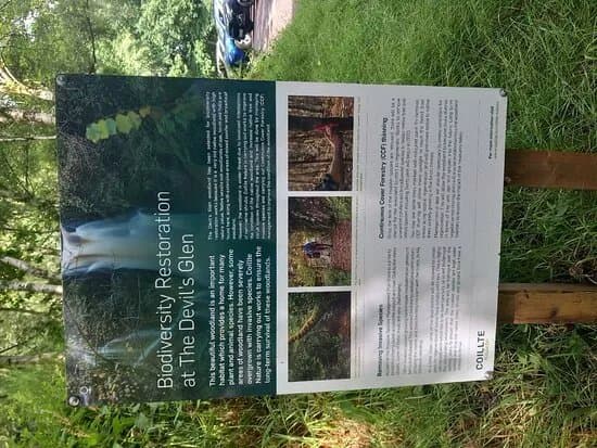 Devils Glen