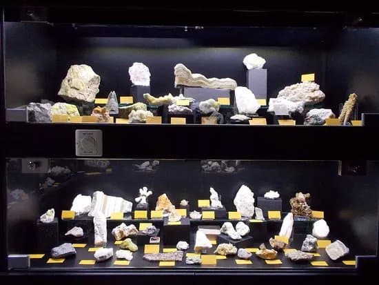 Mineralogical Museum