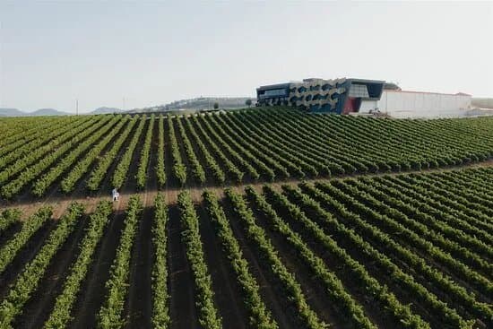 Quinta da Almiara