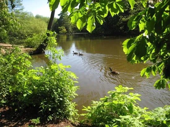 Manor Farm Park
