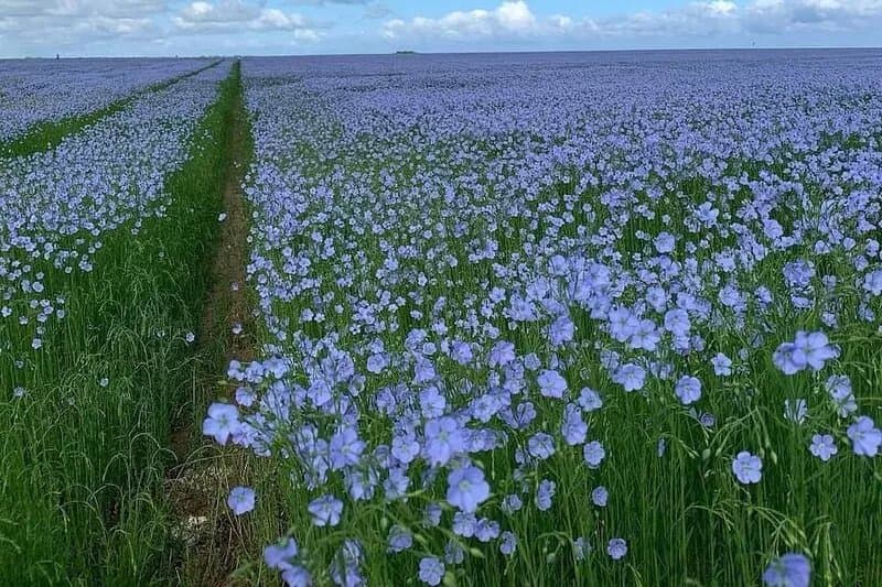 15 min from the sea / in Normandy / rooms with bathroom and WC / beds made
