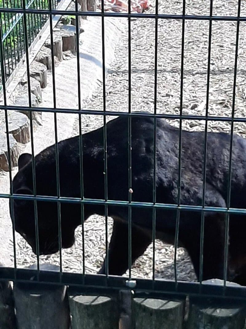Biopark Stit