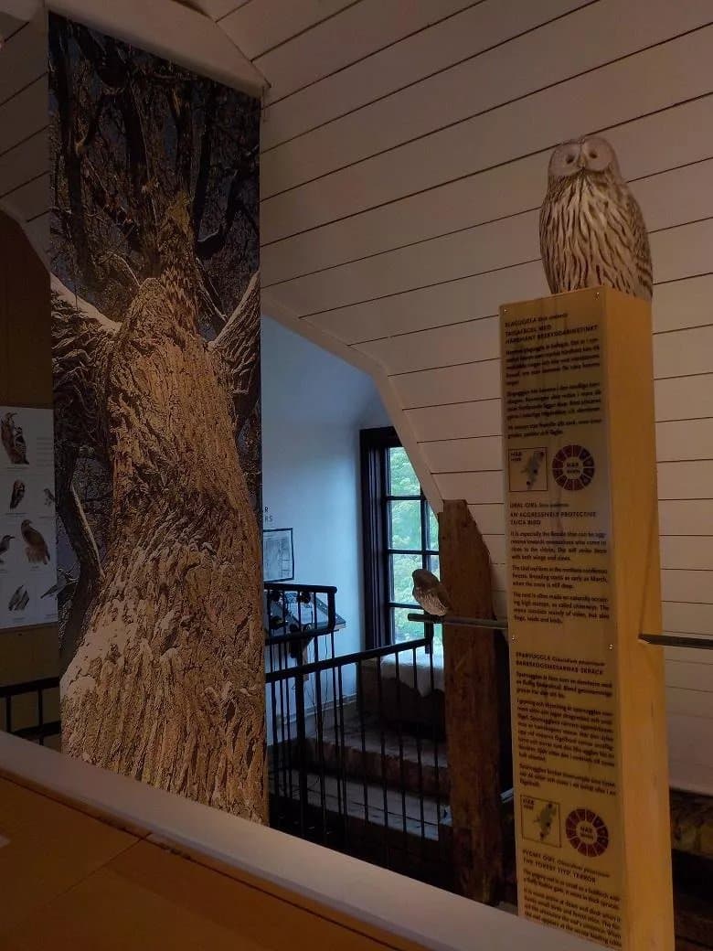 Naturum Farnebofjarden