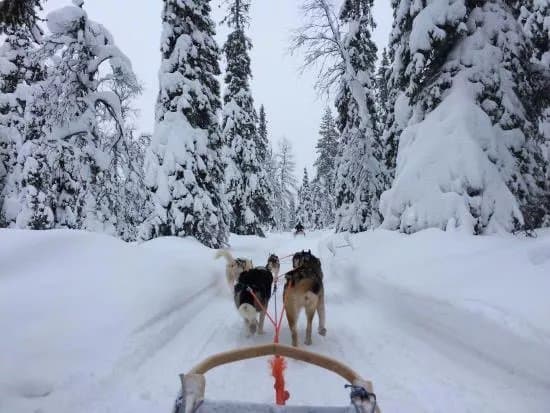 Kuusamo Safaris Day Tours