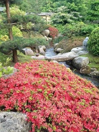 De Japanske Haver