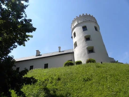 Kazimierzowski Castle In PrzemySl