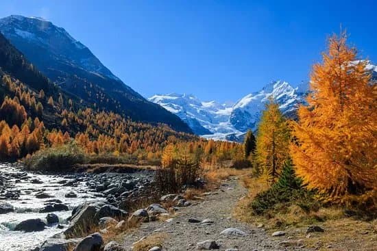 Morteratsch Glacier