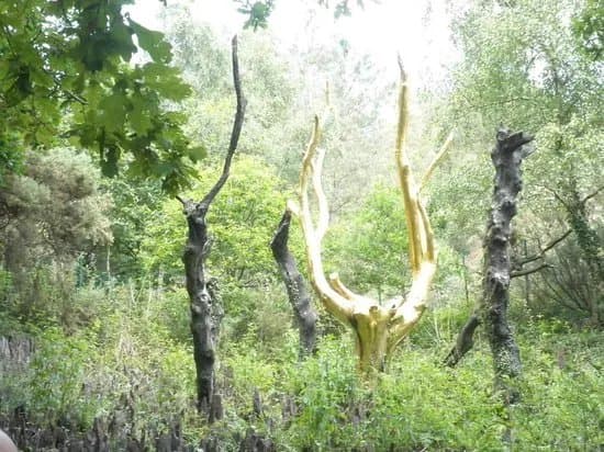 Broceliande