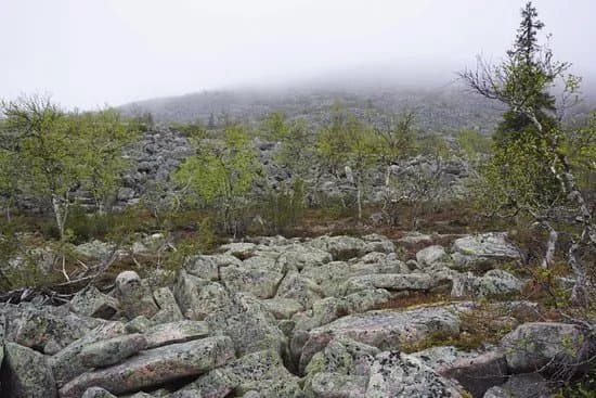 Sompio Strict Nature Reserve