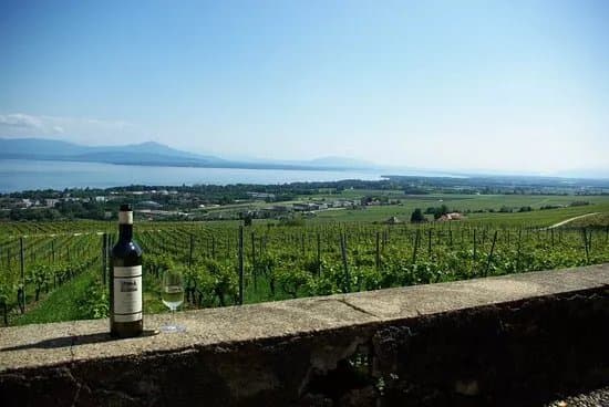Domaine de Bellevue