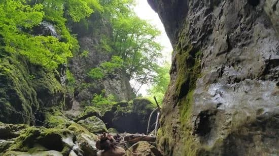 Pazin Cave