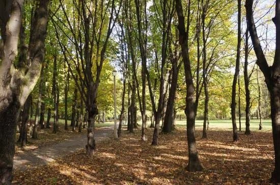 Park Lotnikow Polskich