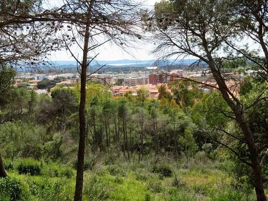 Parco Colle Rosmarino