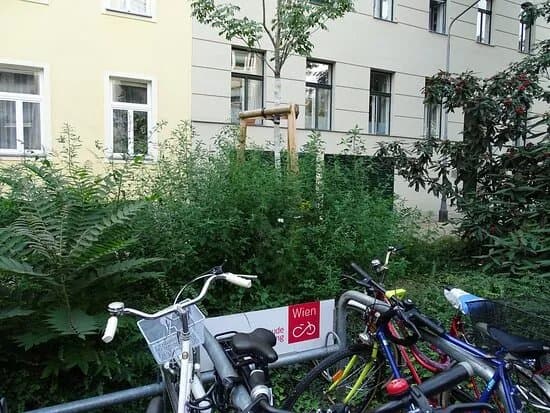 Grueneswien