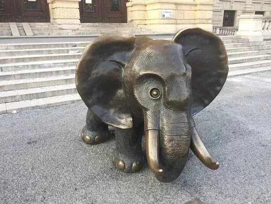 Elefant