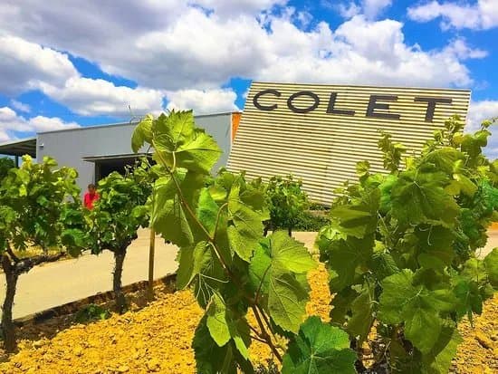 Bodegas Colet