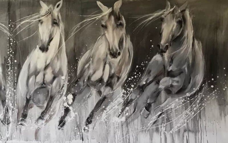 Galerie Equus