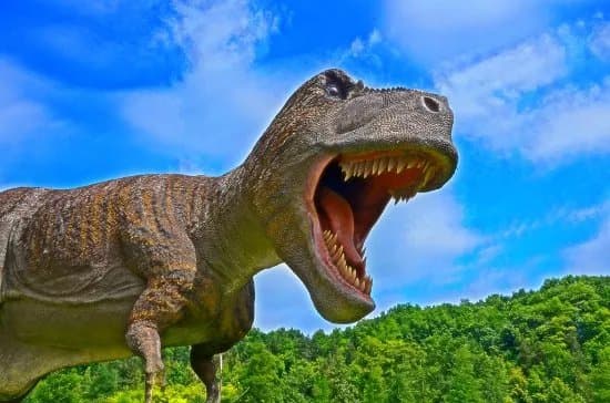 JuraPark Baltow