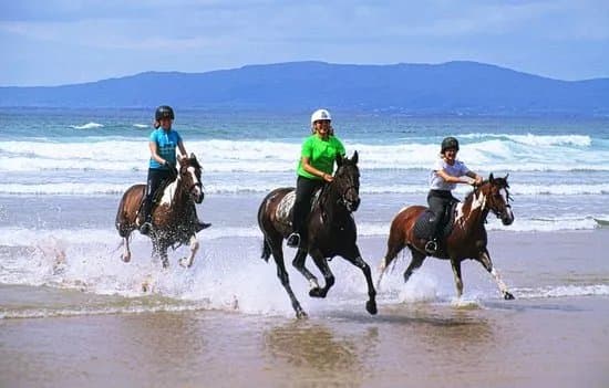 Donegal Equestrian Centre